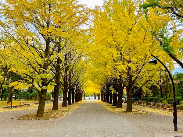 光が丘公園 1