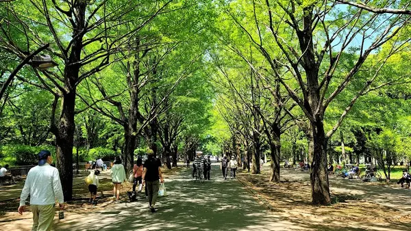 光が丘公園 2