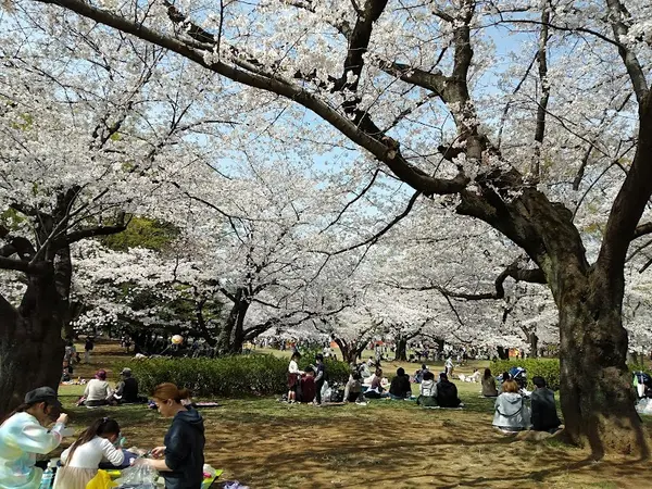 光が丘公園 3
