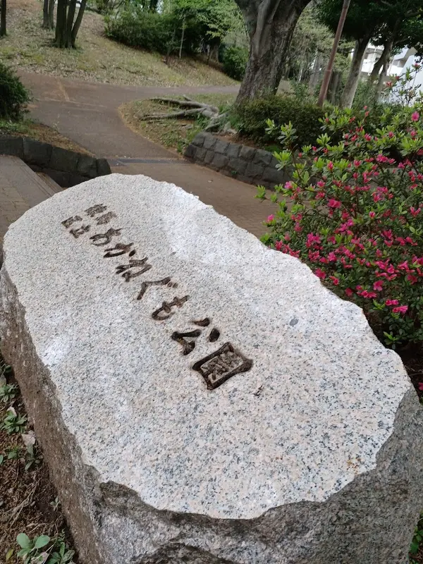 あかねぐも公園 5