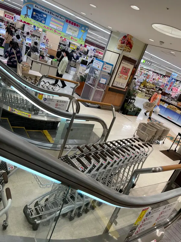 サトーココノカドー（イトーヨーカドー春日部店跡） 2