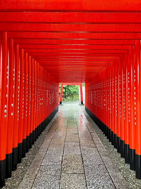 犬山城 4