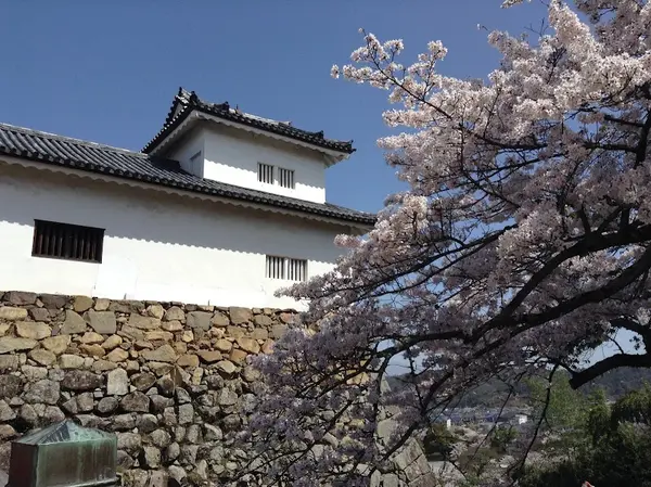 彦根城 2