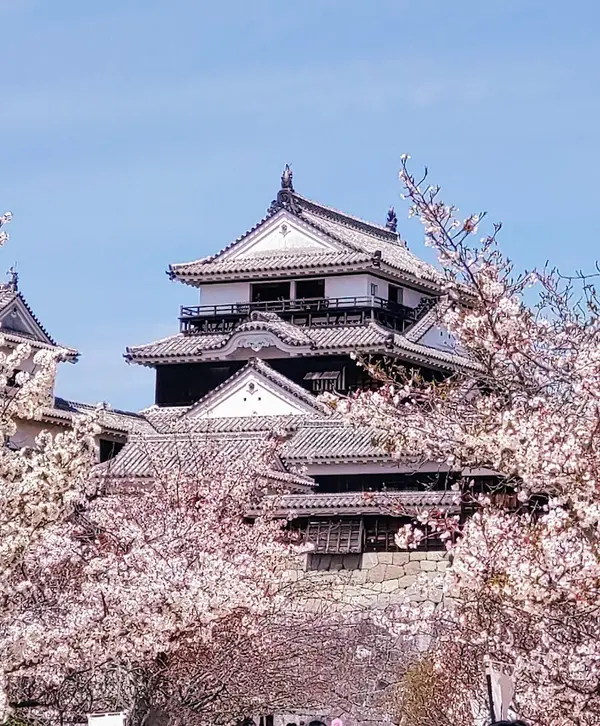 松山城 1