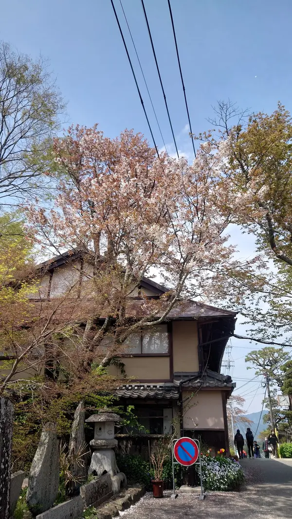 吉野山 1
