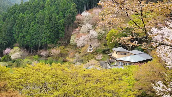 吉野山 2