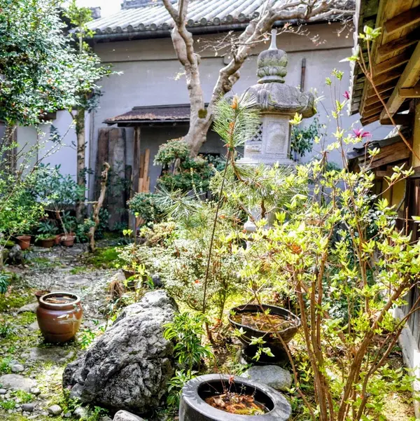 吉野山 3