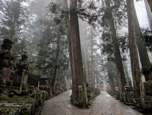 高野山 奥の院 2