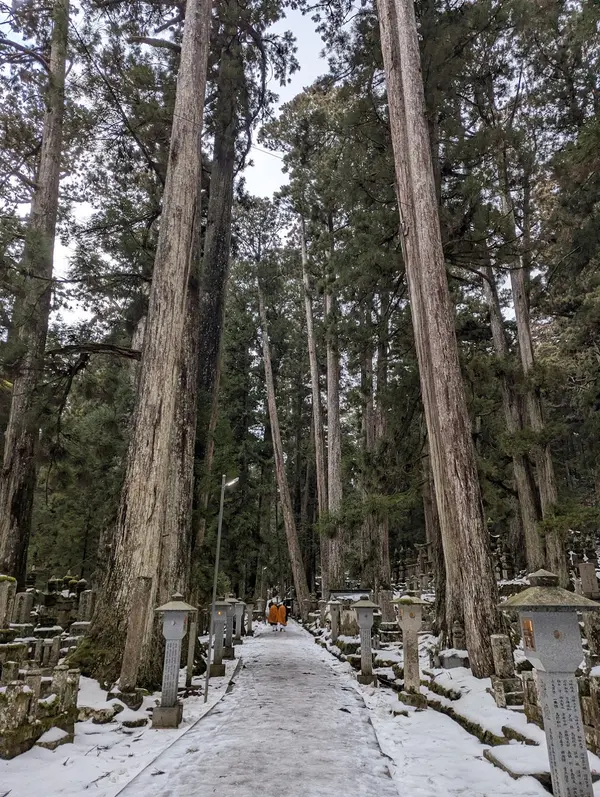 高野山 奥の院 3