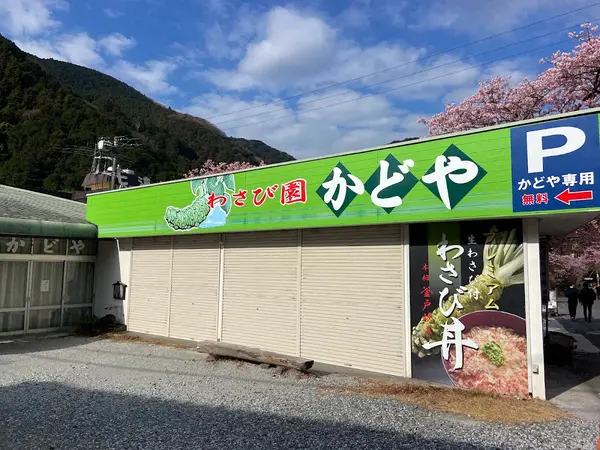 わさび園 かどや食堂 1