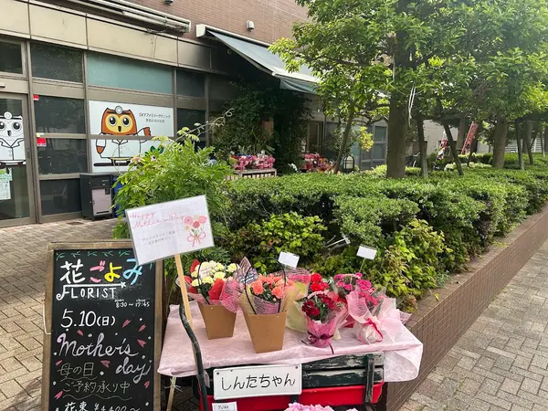 東通り