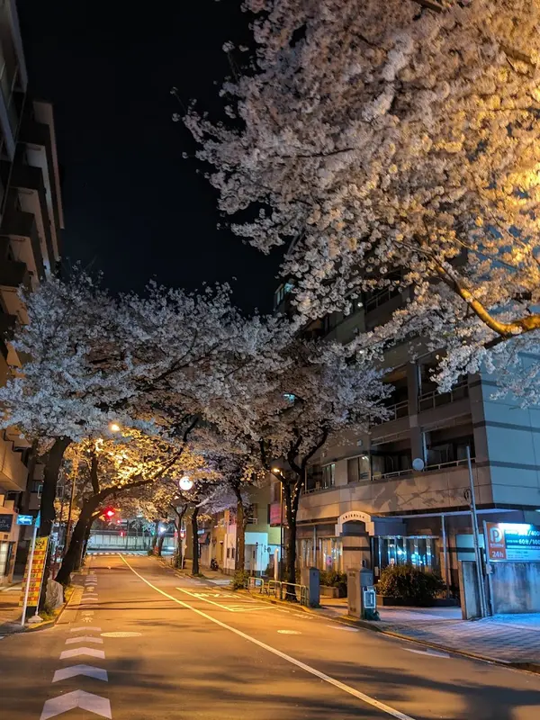 九段さくら館 2
