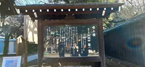 九段さくら館 4