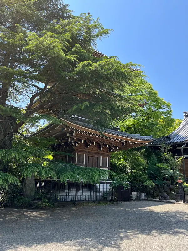東禅寺（劇中「光庵寺」） 3
