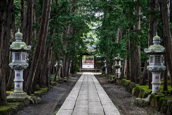 慶元寺（光庵寺の広大な土地） 3