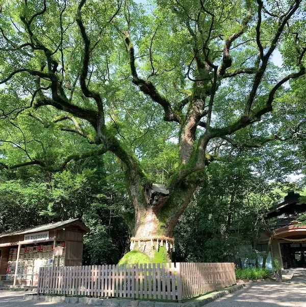 熱田神宮 3