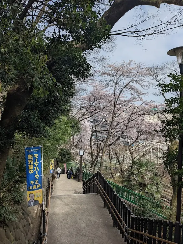 飛鳥山公園 2
