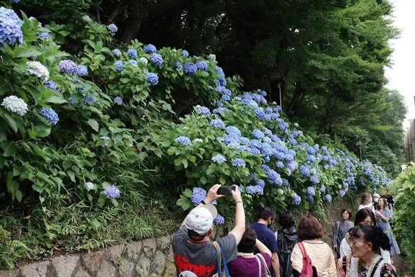 飛鳥山公園 3