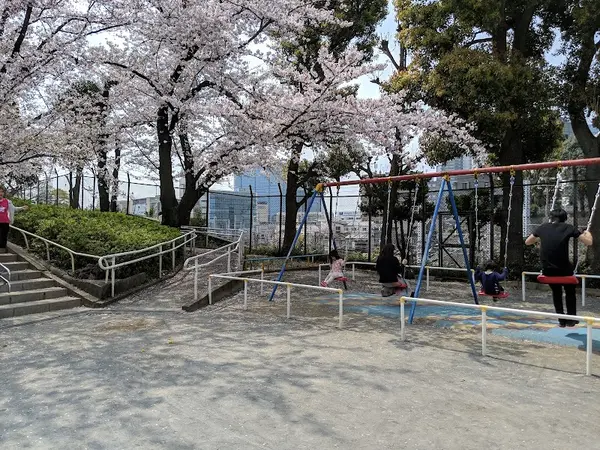 権現山公園 2