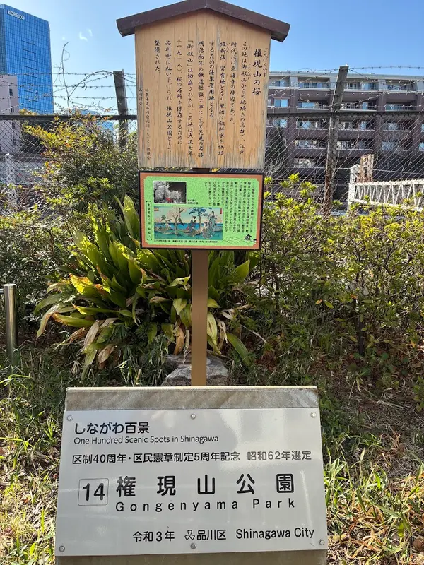 権現山公園 5
