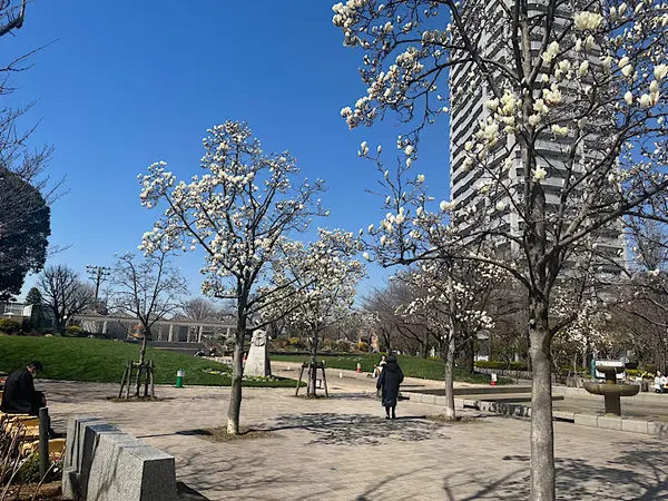 品川区立しながわ中央公園 2