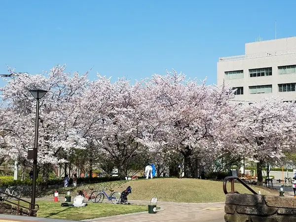 品川区立しながわ中央公園 5