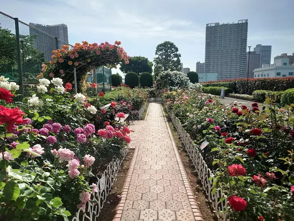港区立芝浦中央公園 5
