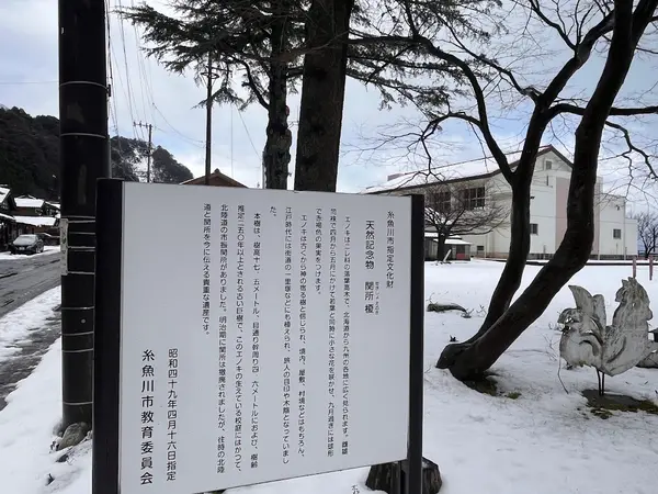 市振の関 2