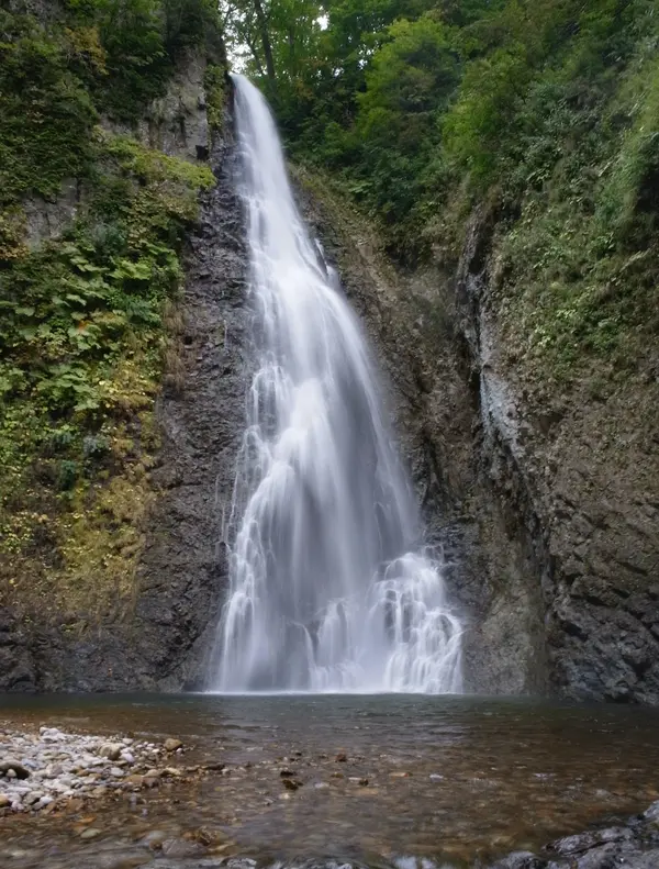 白神山地