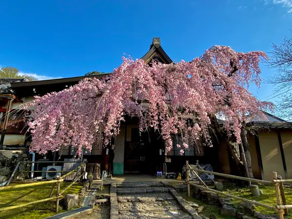 氷室神社 3