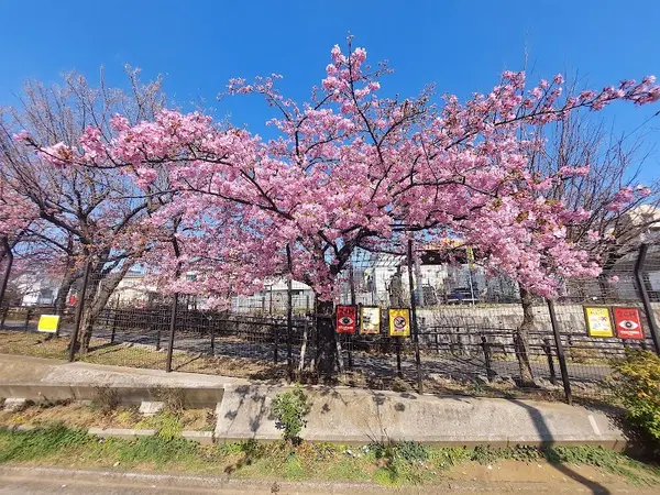 参宮橋公園 2