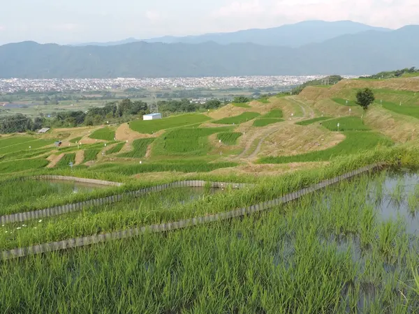姨捨（田毎の月） 1