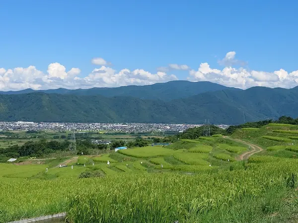 姨捨（田毎の月） 2