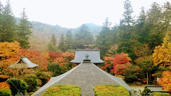 雲巌寺 3