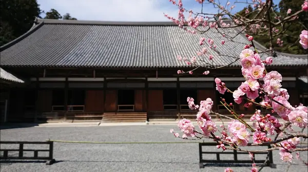 松島 瑞巌寺 1