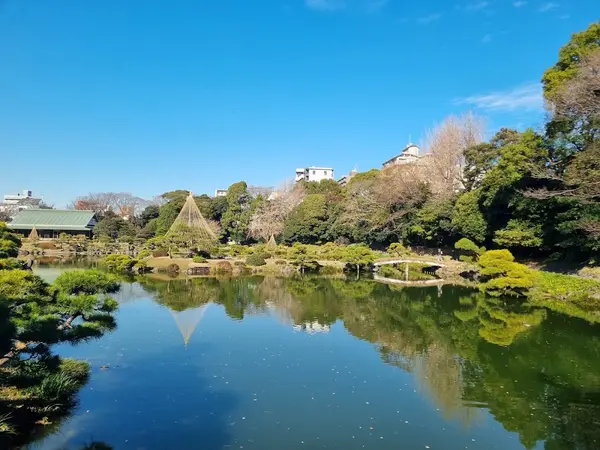 清澄庭園 1