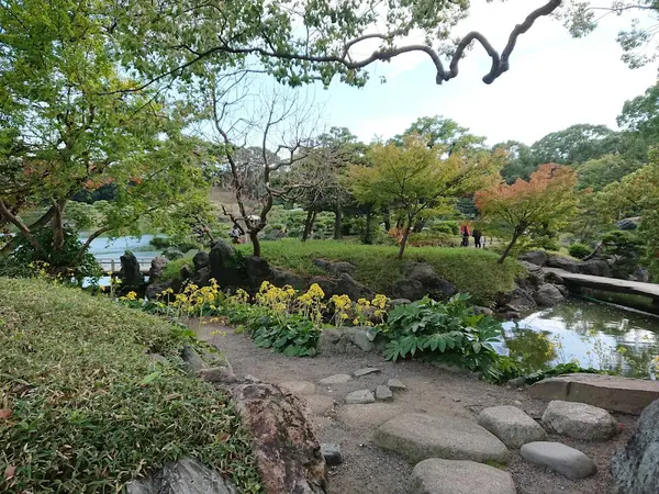 清澄庭園 2