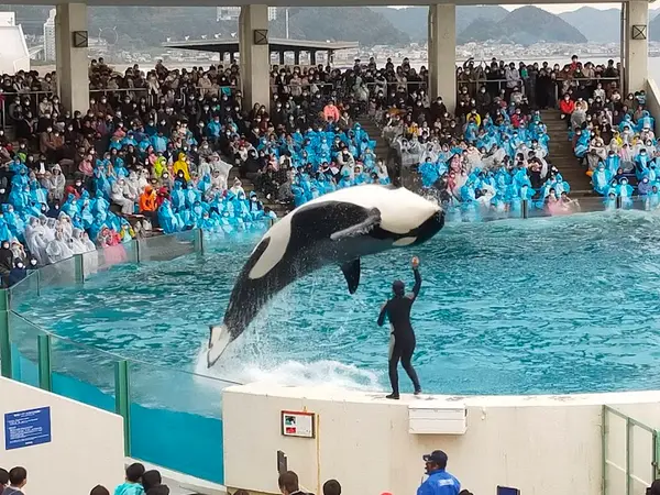 鴨川シーワールド 4