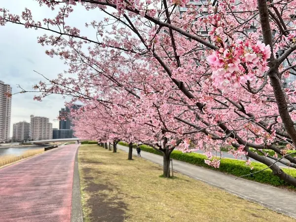 汐入公園 2