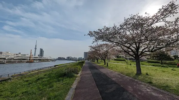 汐入公園 3