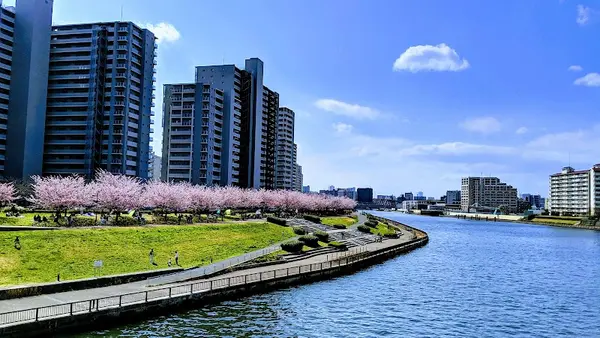 汐入公園 5