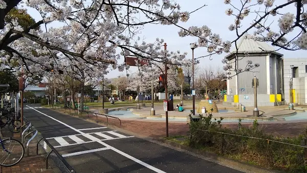 北沼公園 1