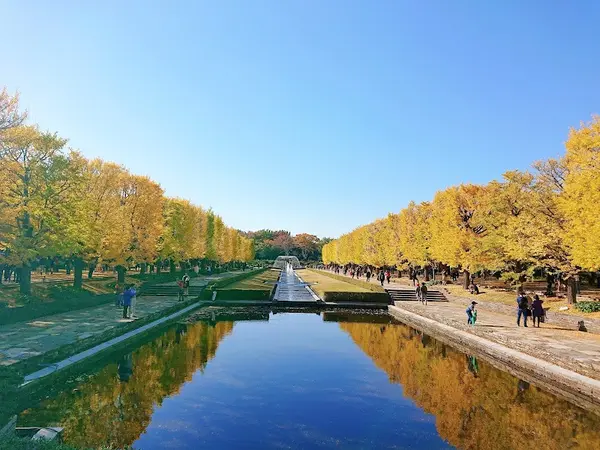 国営昭和記念公園 4