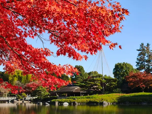 国営昭和記念公園 5