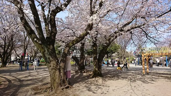 上千葉砂原公園 4