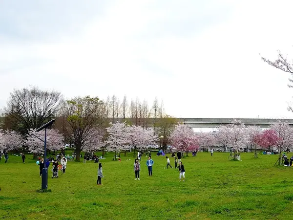 舎人公園 2