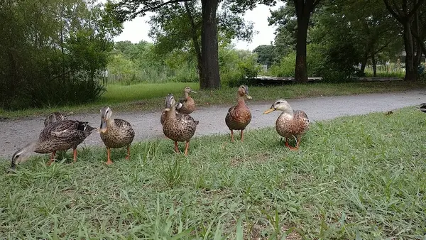 舎人公園 5