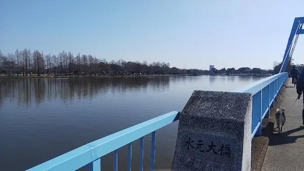 水元公園 4