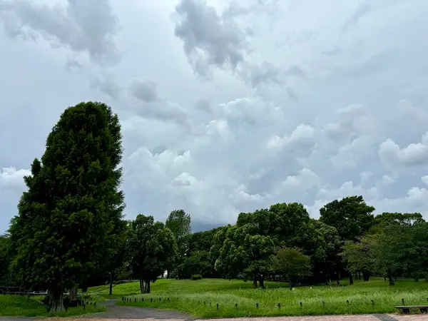 水元公園 5