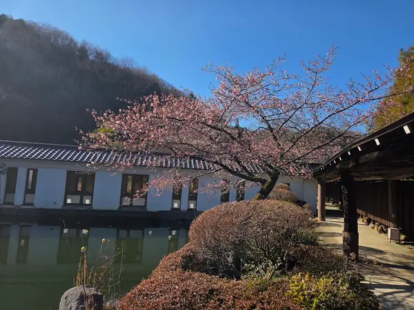 八合目 太子館